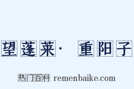 望蓬莱·重阳子是什么意思的图片